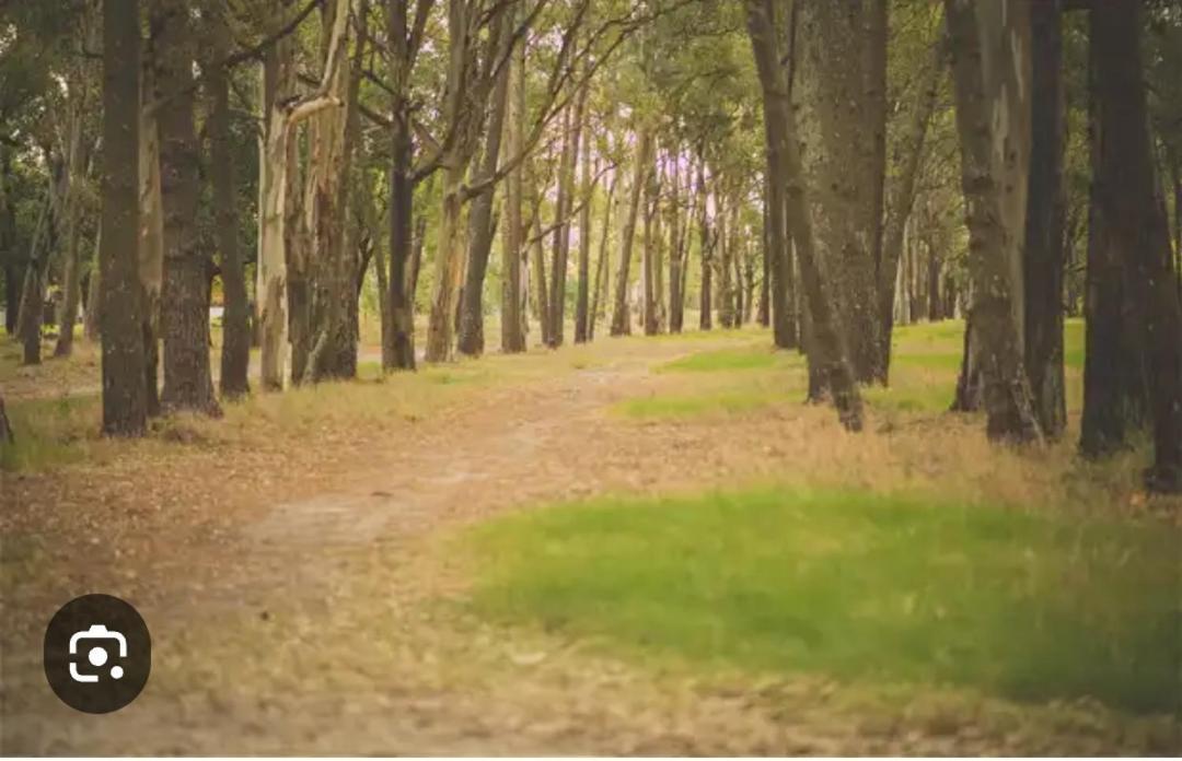 Playa, Bosque Y Lago Montevideo Zewnętrze zdjęcie